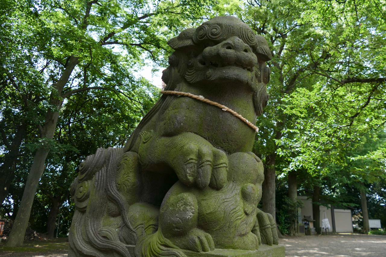 篠原八幡神社　狛犬