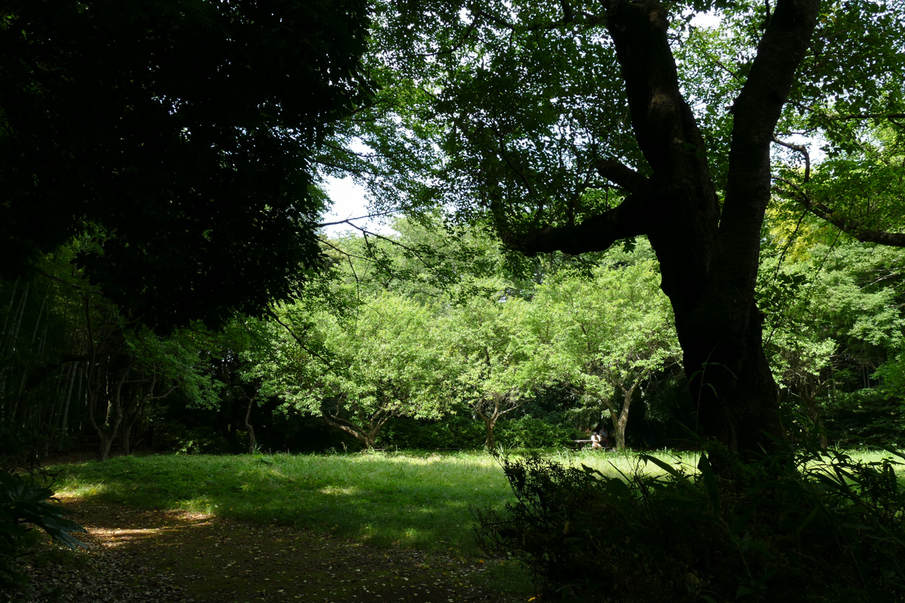 小机城址の広場