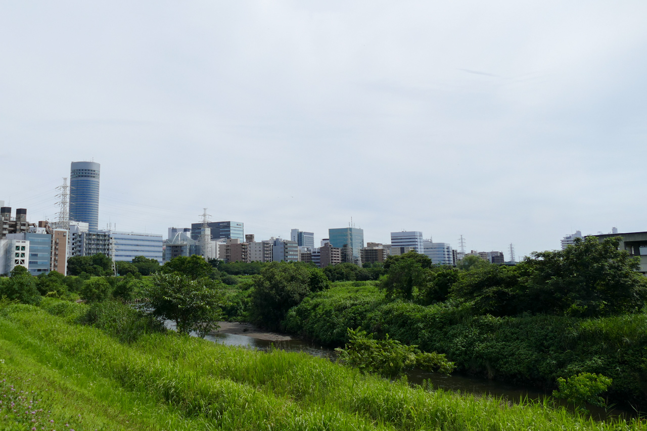 鶴見川と鳥山川の合流