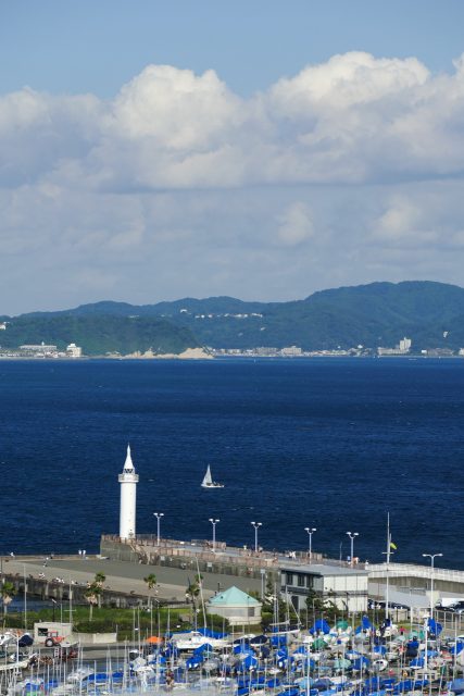 江の島からの風景