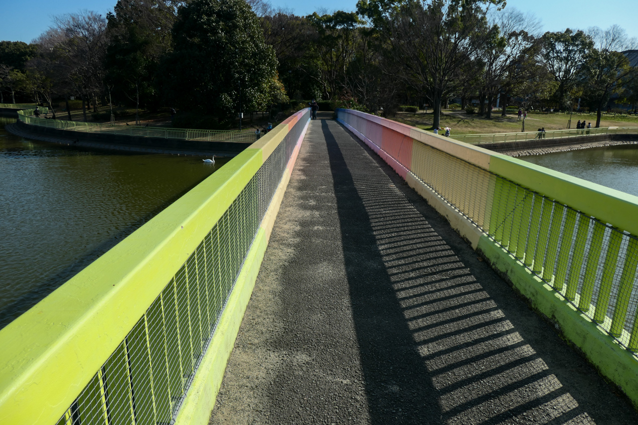 長居植物園の橋